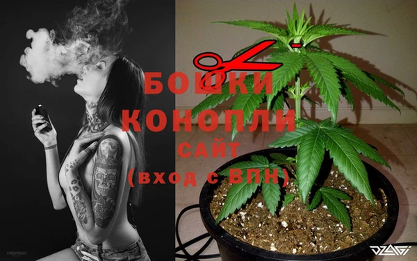ECSTASY Арсеньев